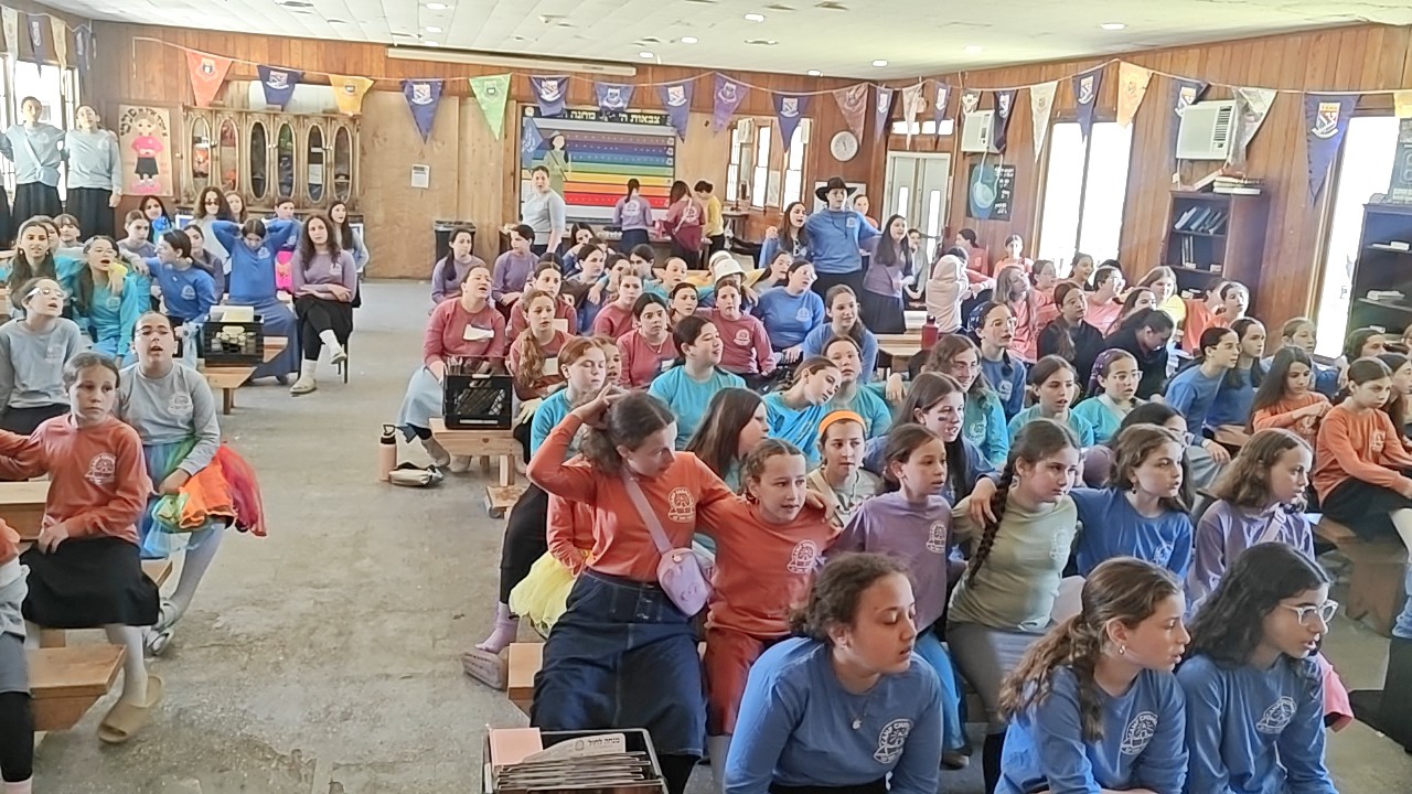 151567.jpg