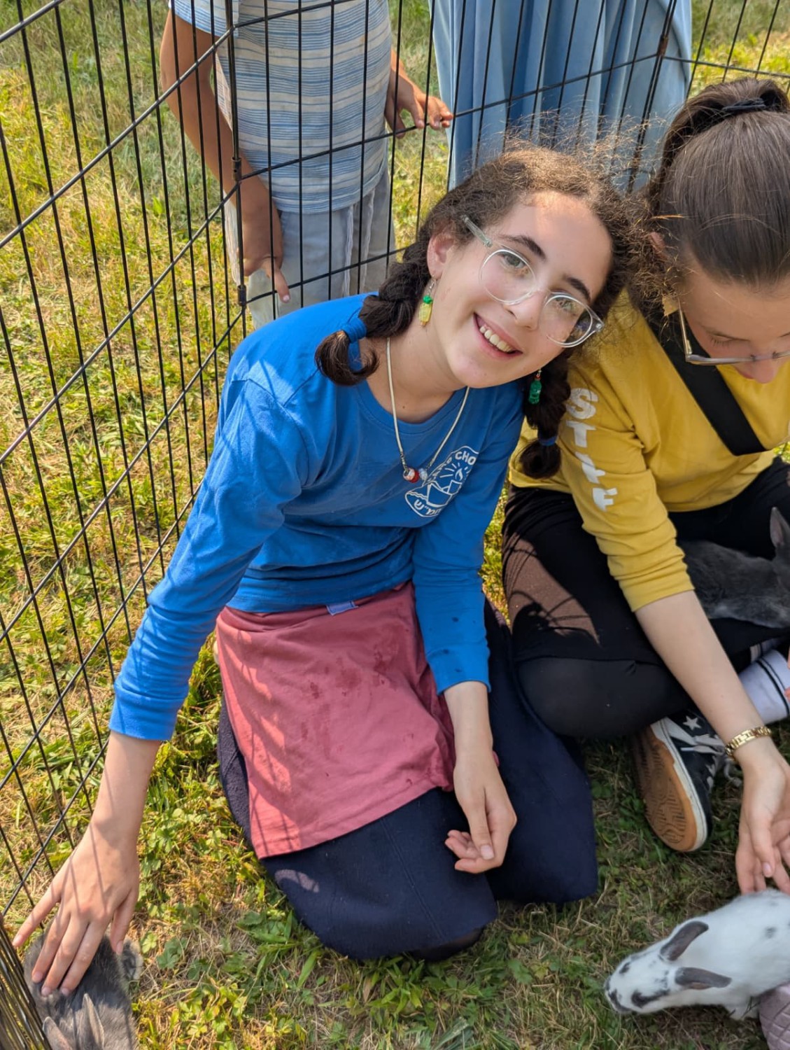 157986.jpg